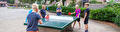 Groep 8